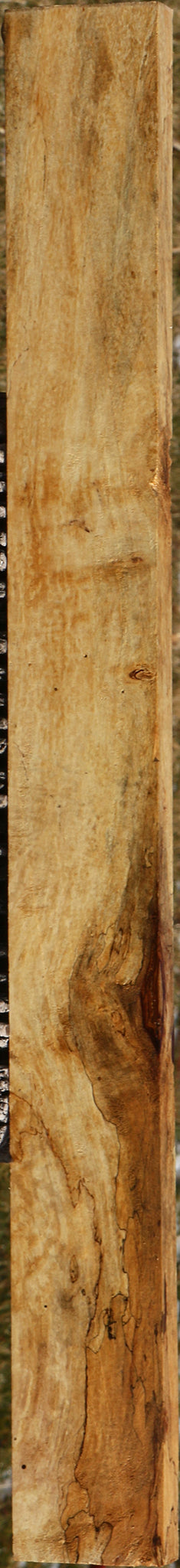 Figured Spalted Tamarind Lumber