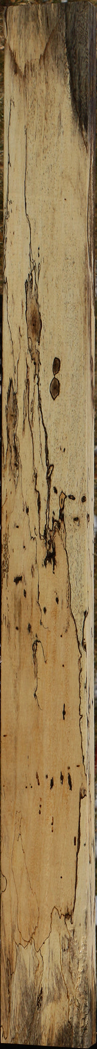 Figured Spalted Tamarind Lumber