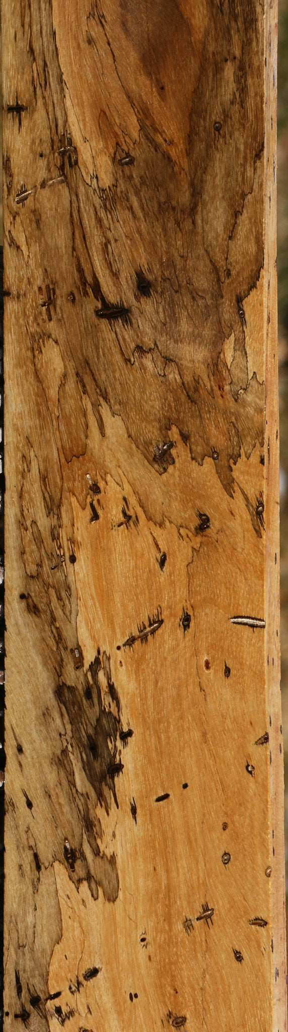 Figured Spalted Tamarind Lumber