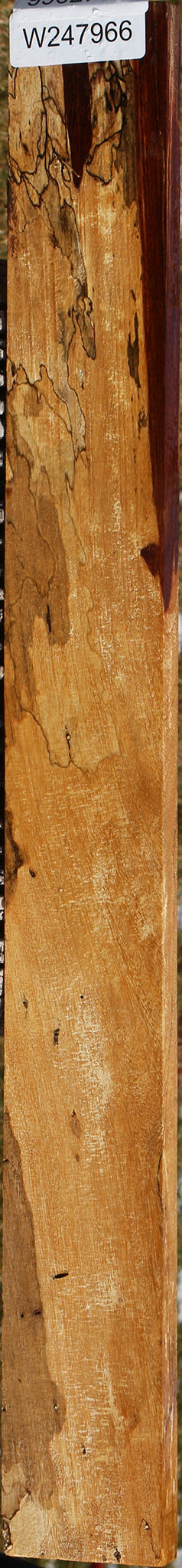 Spalted Tamarind Lumber