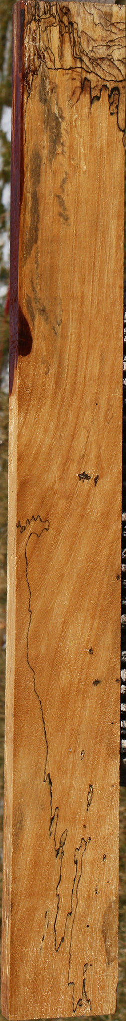 Spalted Tamarind Lumber