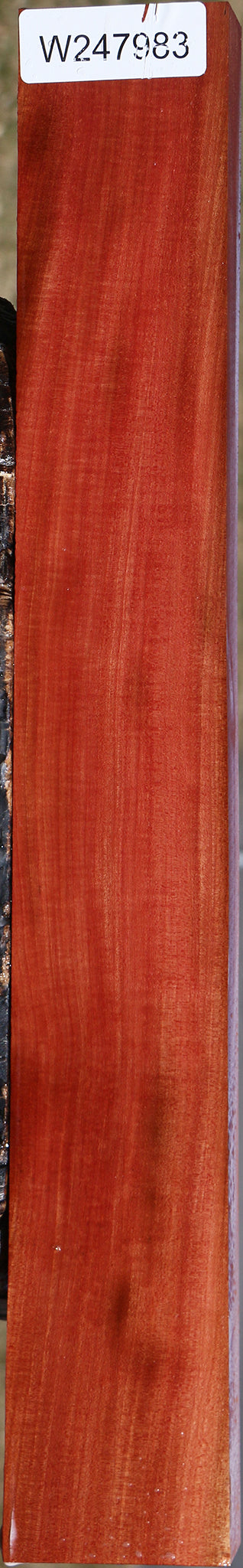 Extra Fancy Pink Ivory Lumber