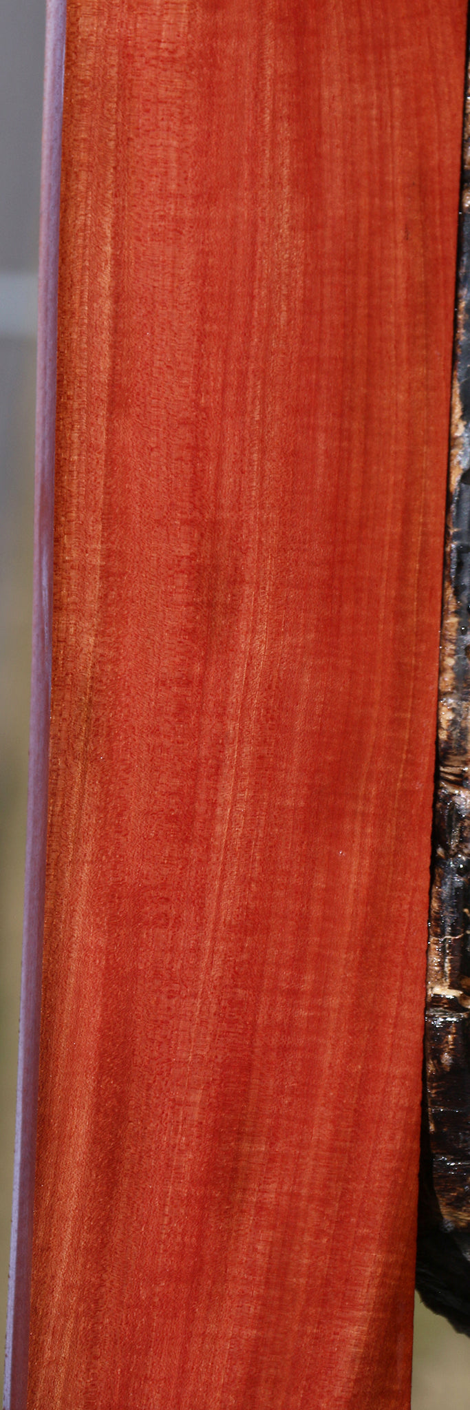 Extra Fancy Pink Ivory Lumber