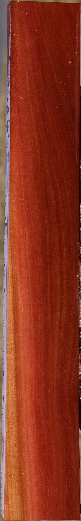 Extra Fancy Pink Ivory Lumber