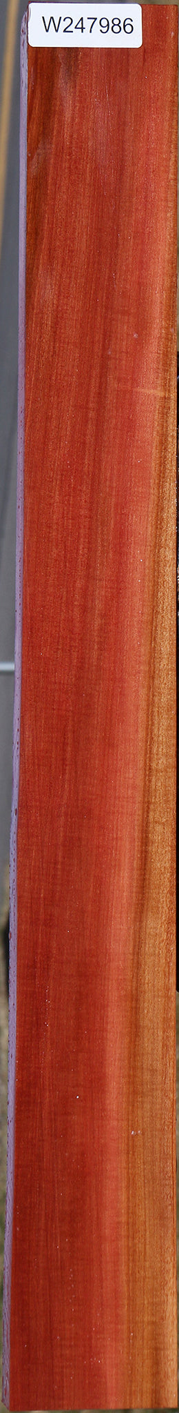 Extra Fancy Pink Ivory Instrument Lumber