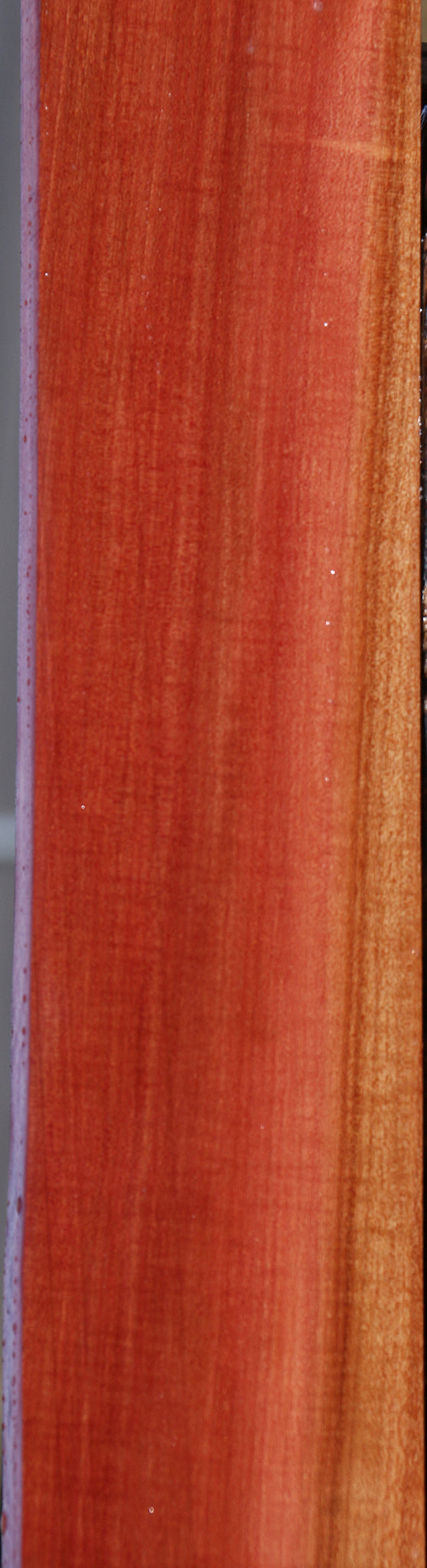Extra Fancy Pink Ivory Instrument Lumber