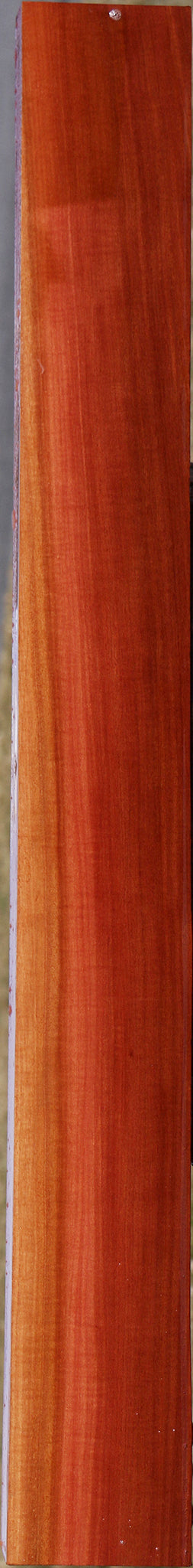 Extra Fancy Pink Ivory Instrument Lumber