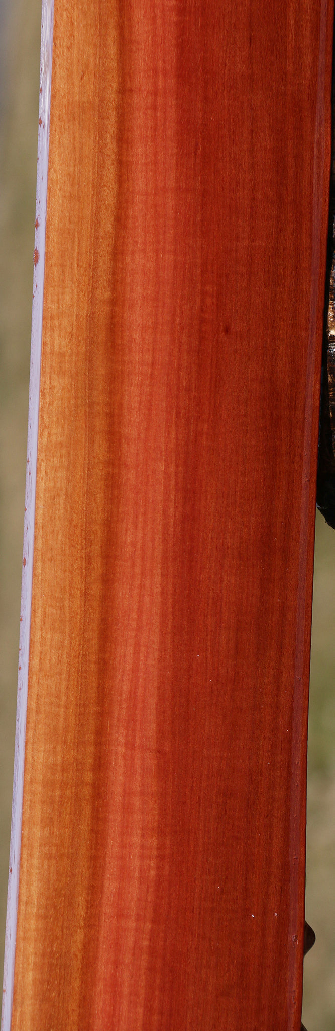 Extra Fancy Pink Ivory Instrument Lumber