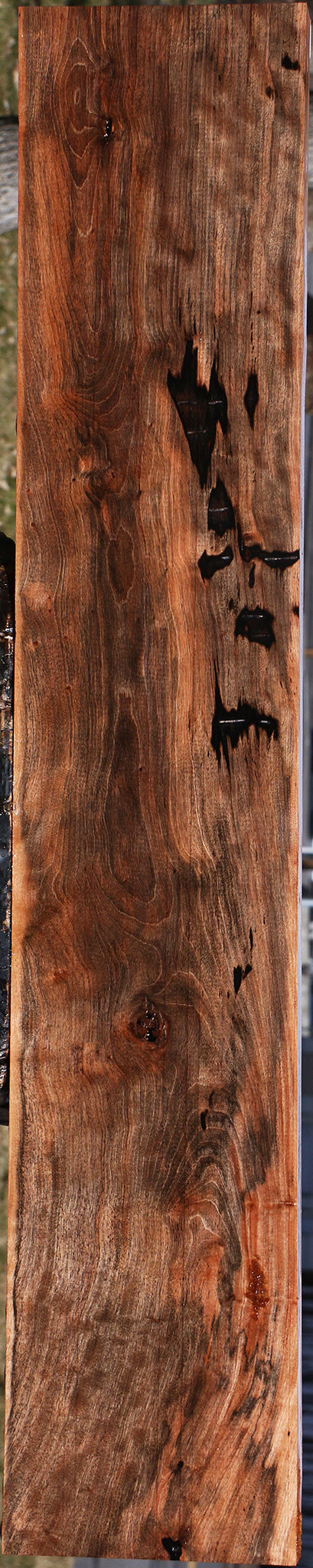 Jackalberry Ebony Lumber