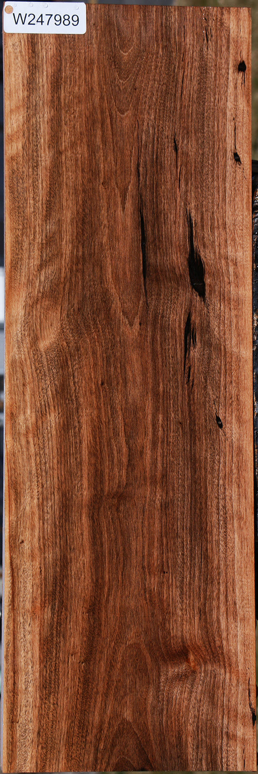 Jackalberry Ebony Lumber