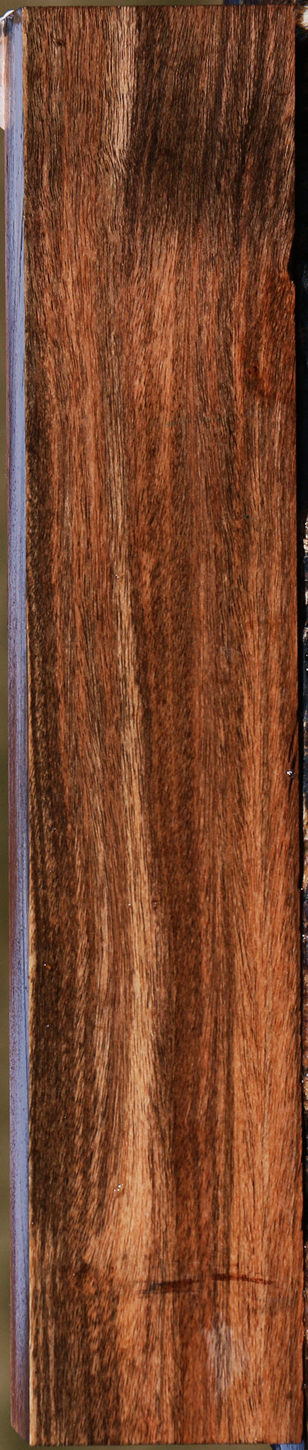 Jackalberry Ebony Lumber