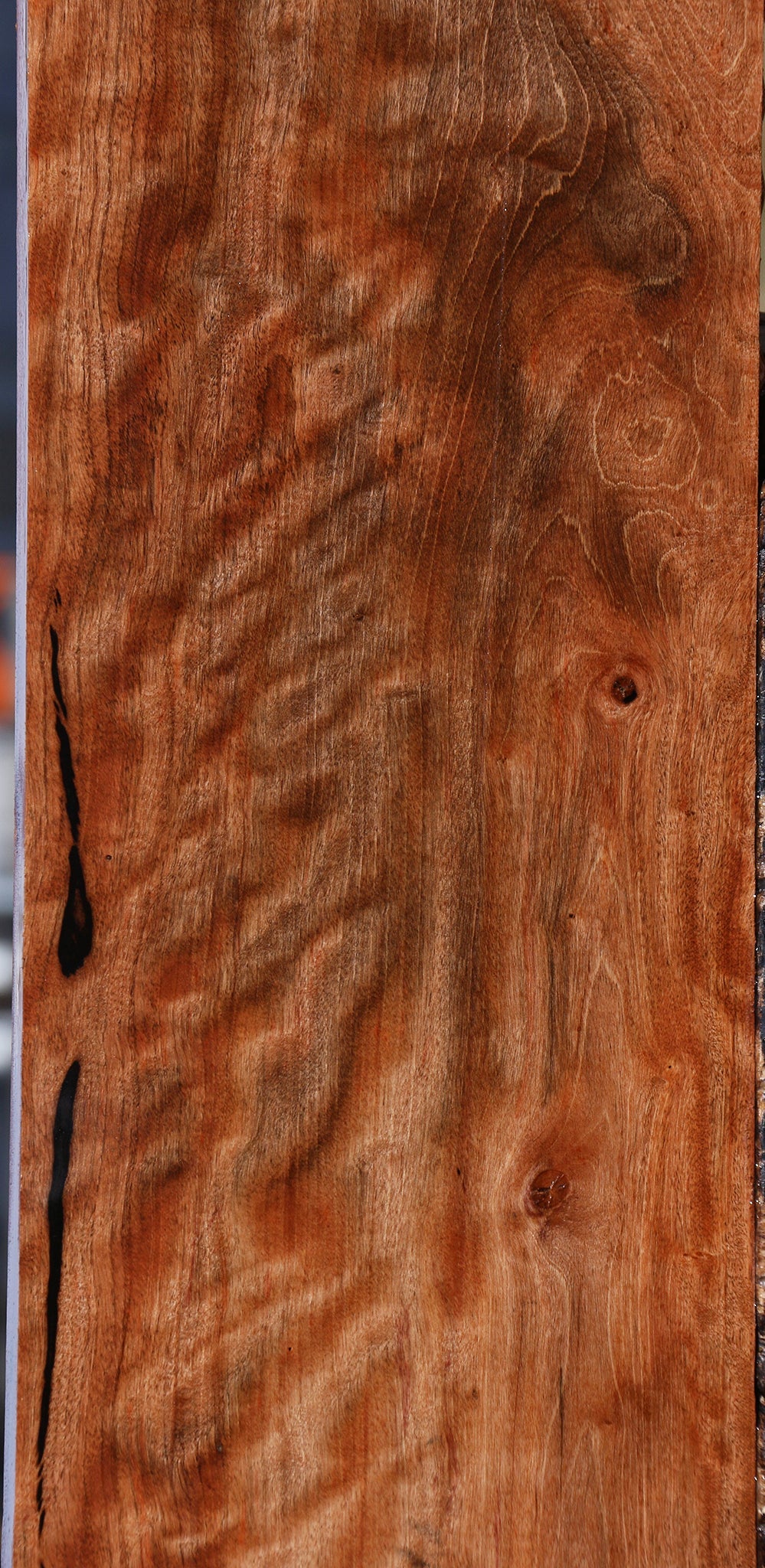 Extra Fancy Jackalberry Ebony Lumber