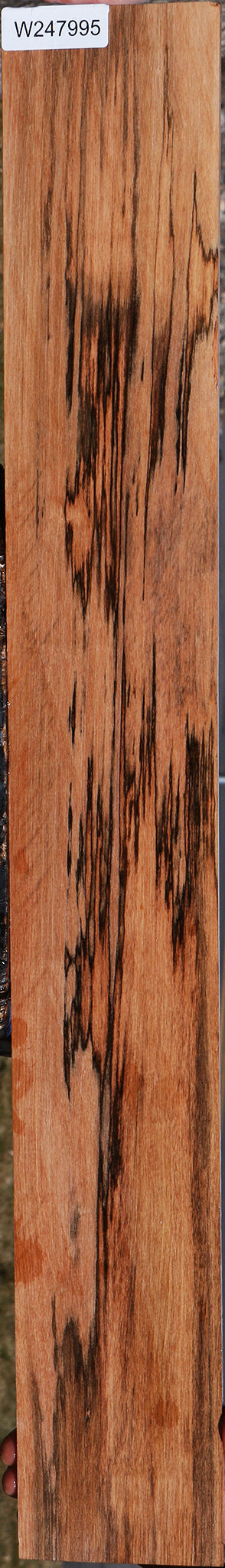 Figured Jackalberry Ebony Micro Lumber