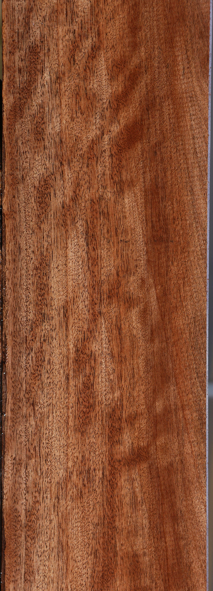 Figured Jackalberry Ebony Lumber