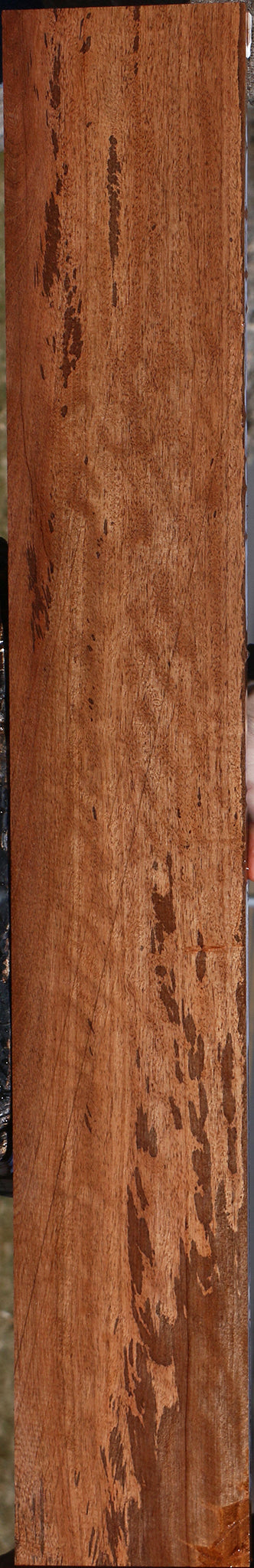 Figured Jackalberry Ebony Lumber