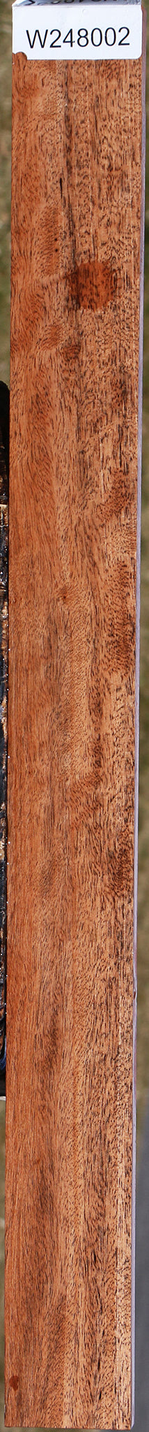 Figured Jackalberry Ebony Micro Lumber