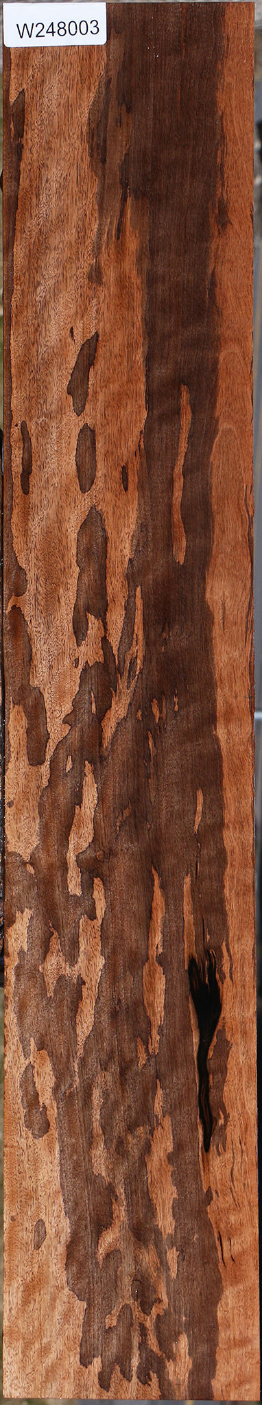 Extra Fancy Jackalberry Ebony Micro Lumber