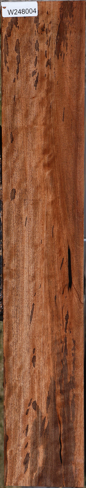 Figured Jackalberry Ebony Micro Lumber