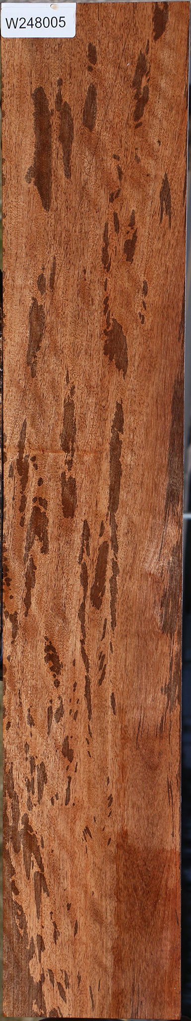 Extra Fancy Jackalberry Ebony Micro Lumber