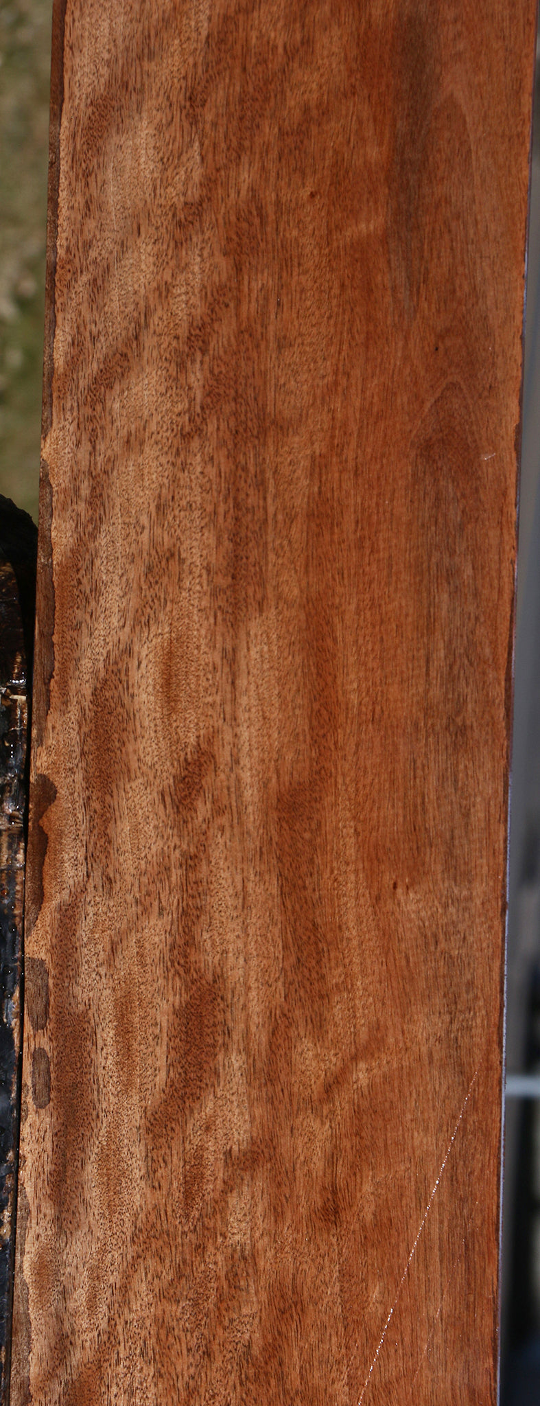 Extra Fancy Jackalberry Ebony Micro Lumber