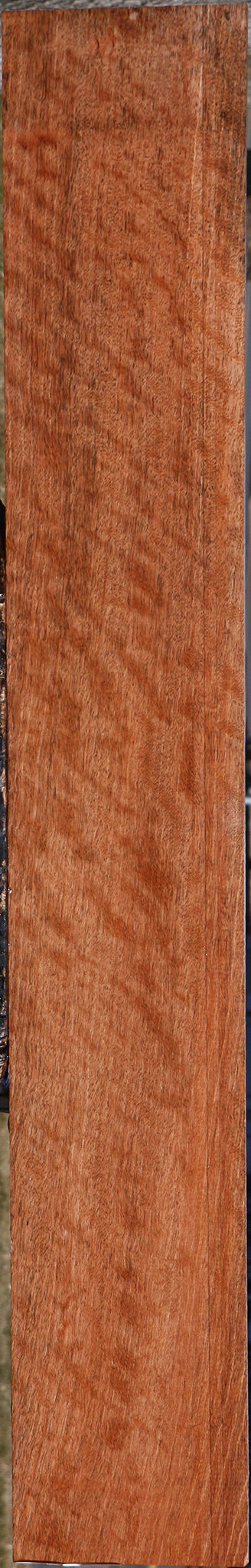 Extra Fancy Jackalberry Ebony Micro Lumber