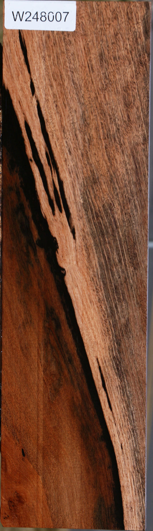 Figured Jackalberry Ebony Micro Lumber