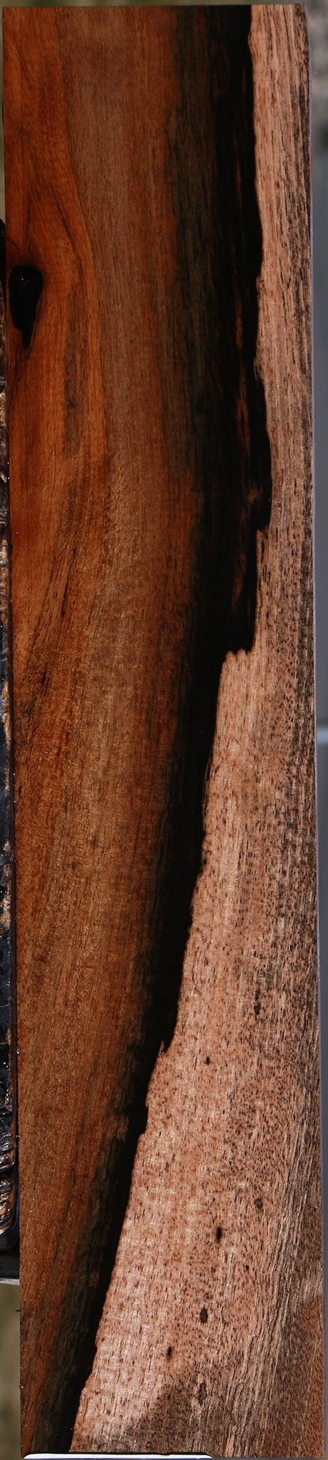 Figured Jackalberry Ebony Micro Lumber