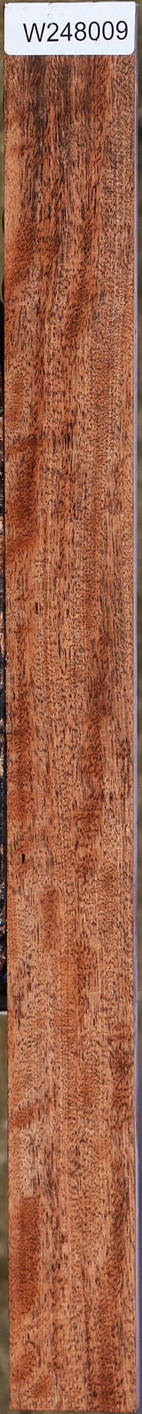 Figured Jackalberry Ebony Micro Lumber