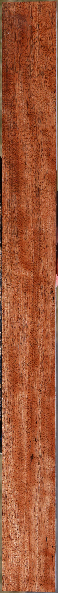 Figured Jackalberry Ebony Micro Lumber