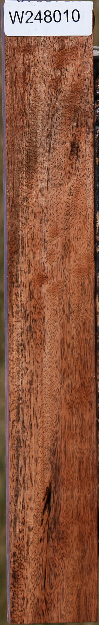 Figured Jackalberry Ebony Micro Lumber