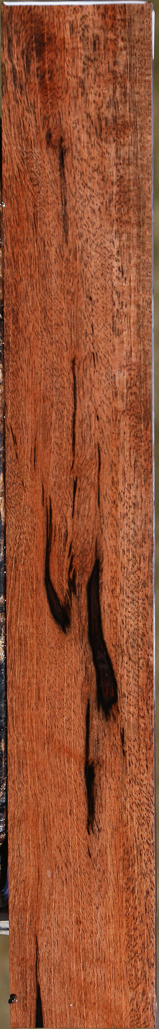 Figured Jackalberry Ebony Micro Lumber
