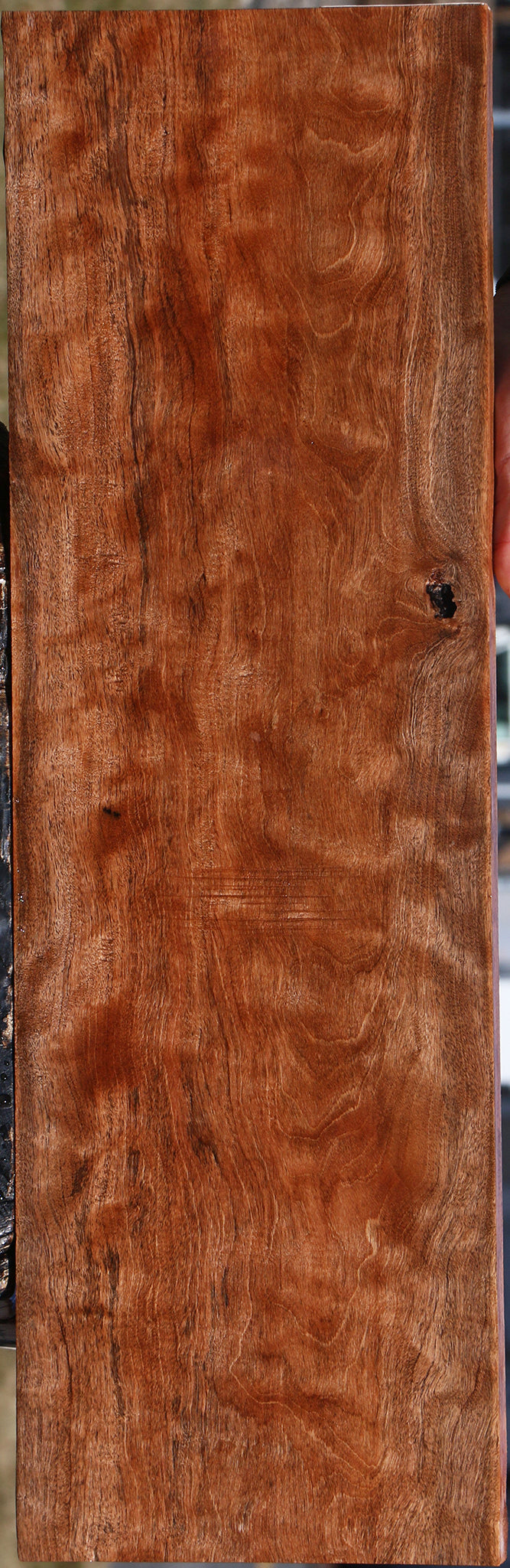Extra Fancy Jackalberry Ebony Lumber