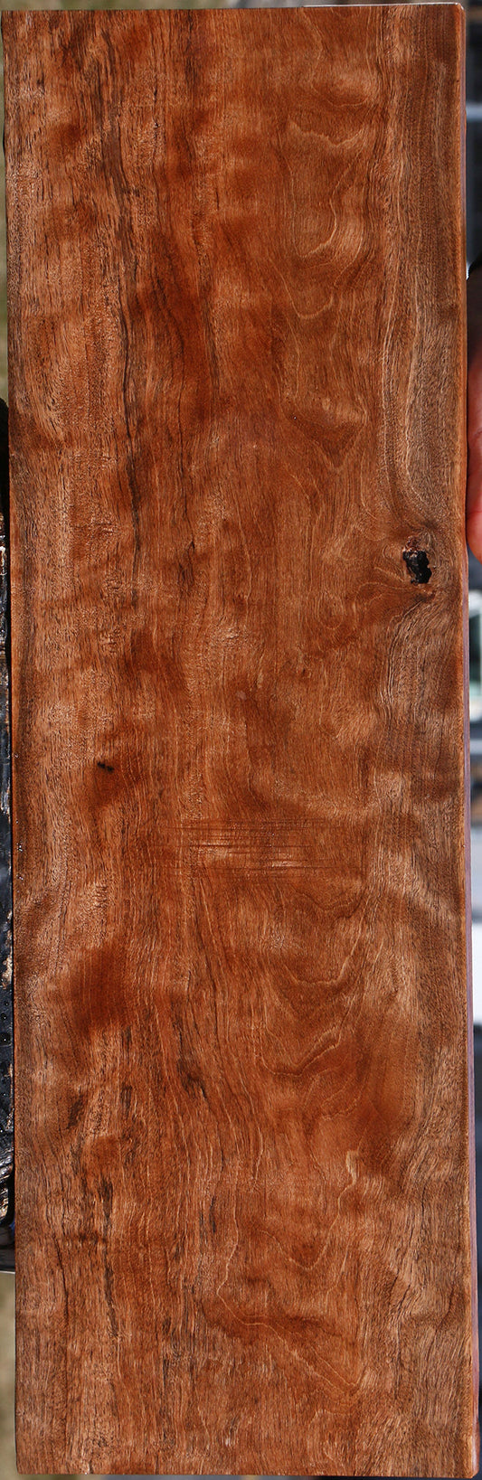 Extra Fancy Jackalberry Ebony Lumber