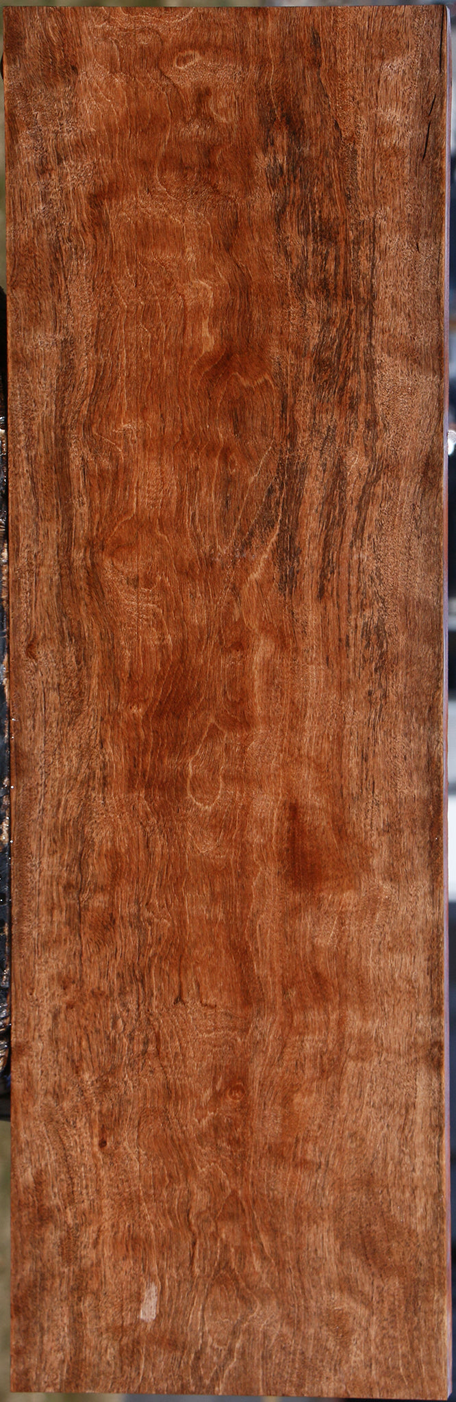 Extra Fancy Jackalberry Ebony Lumber