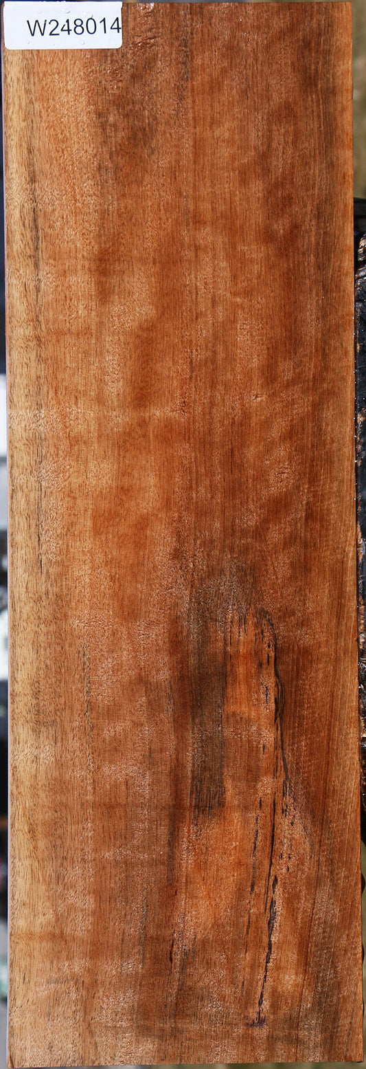 Figured Jackalberry Ebony Micro Lumber