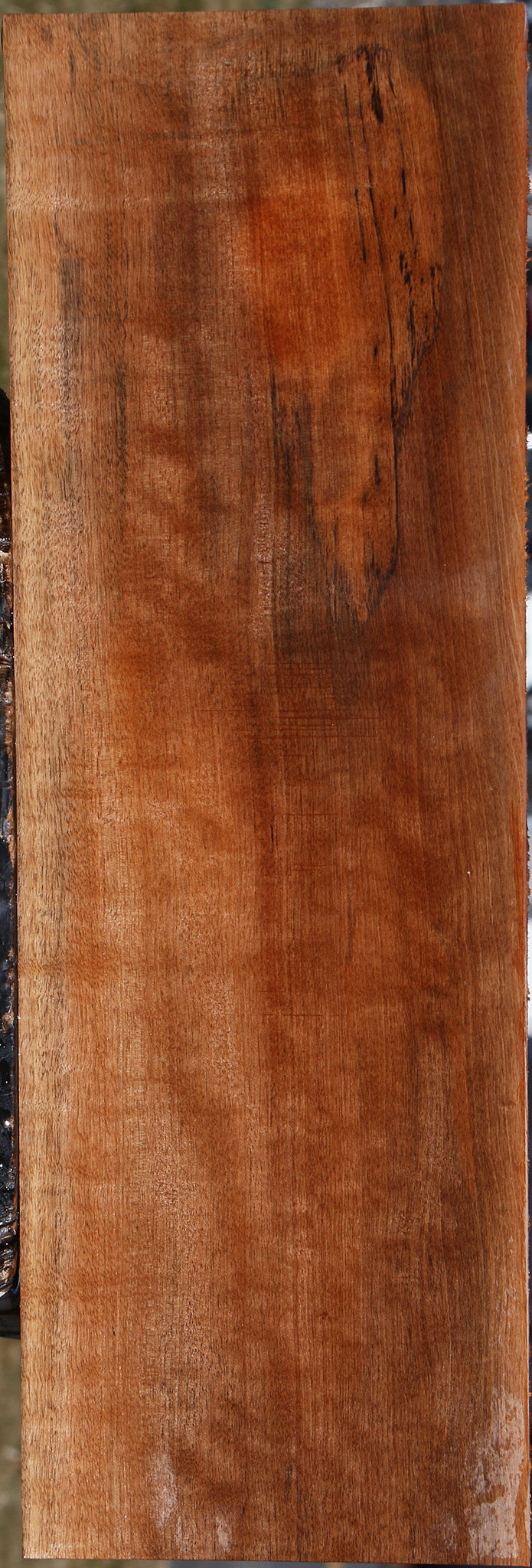 Figured Jackalberry Ebony Lumber