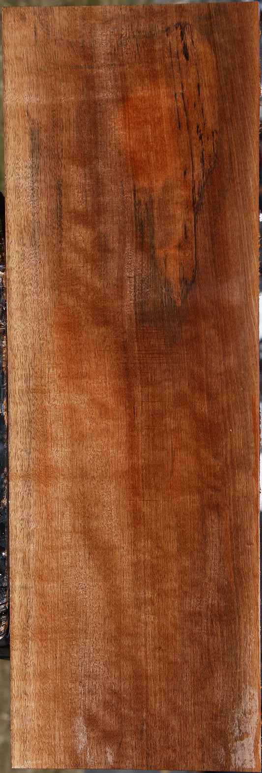 Figured Jackalberry Ebony Lumber
