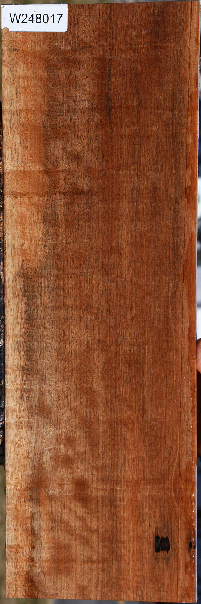 Figured Jackalberry Ebony Lumber