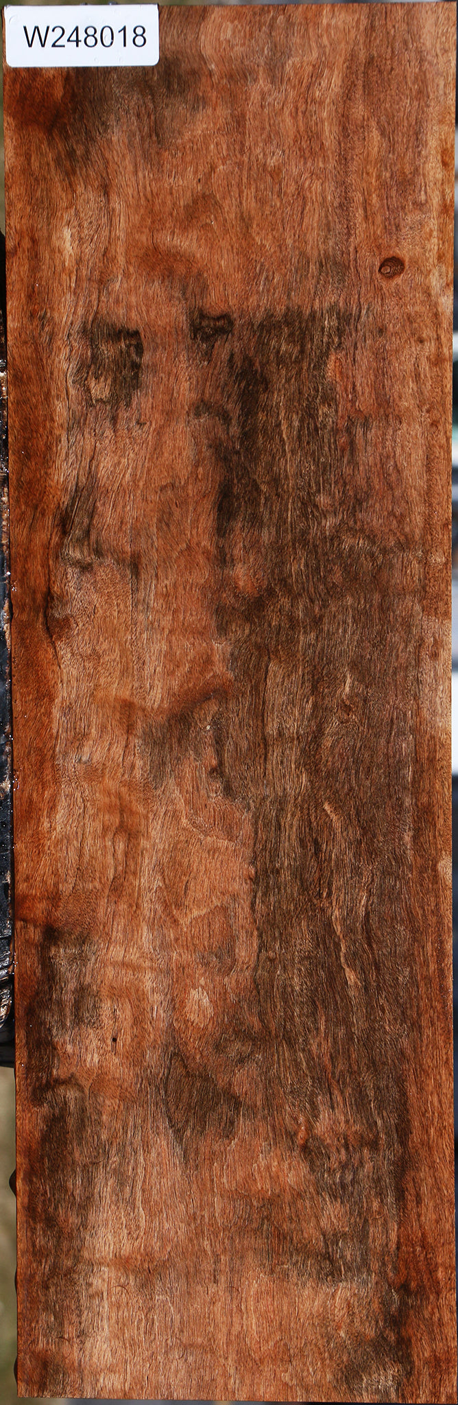 Figured Jackalberry Ebony Lumber