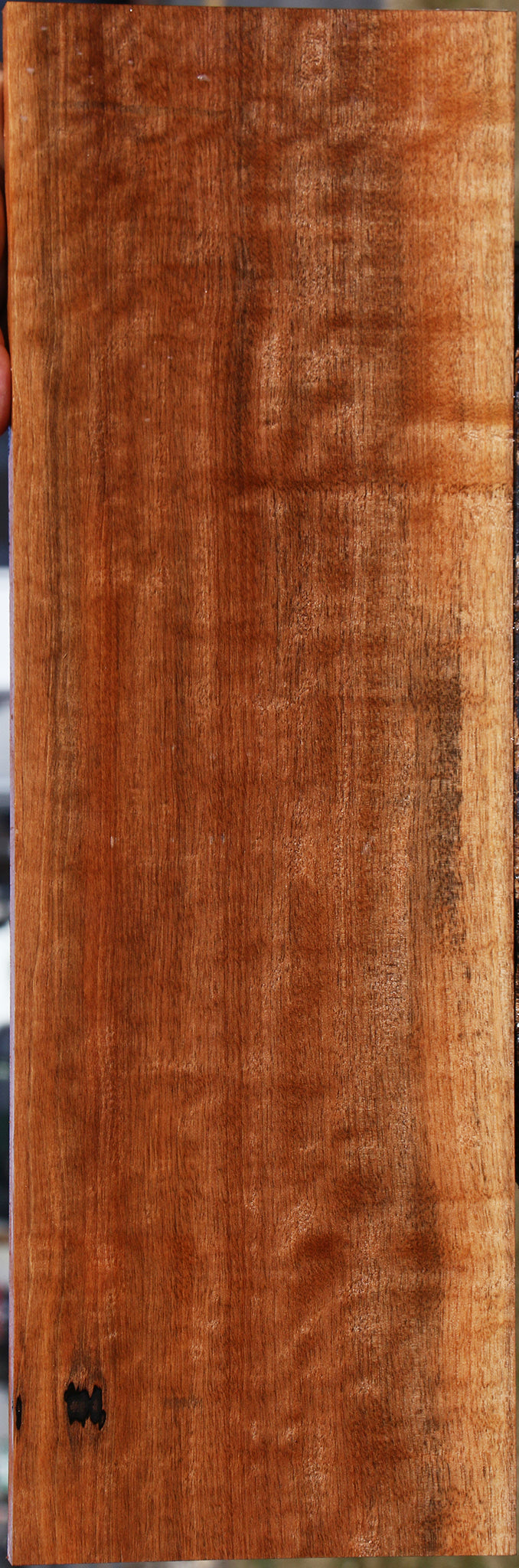 Figured Jackalberry Ebony Lumber