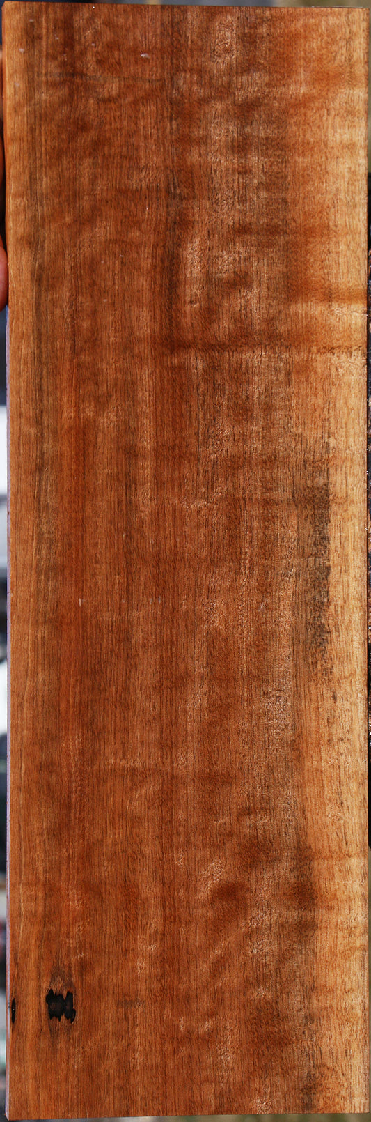 Figured Jackalberry Ebony Lumber
