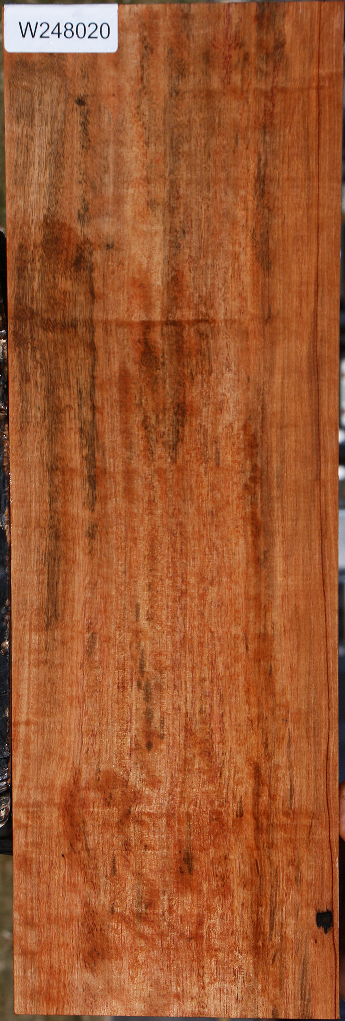 Figured Jackalberry Ebony Lumber