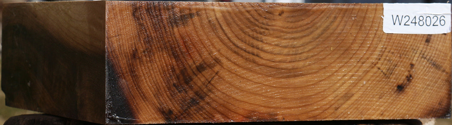 Myrtle Bowl Blank