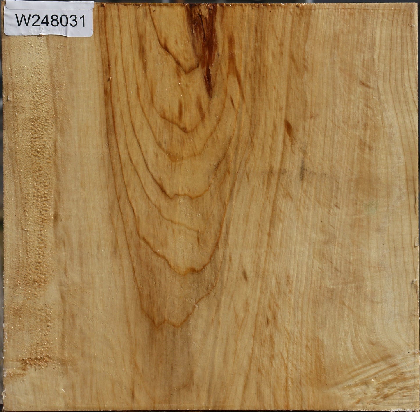 Black Cottonwood Bowl Blank