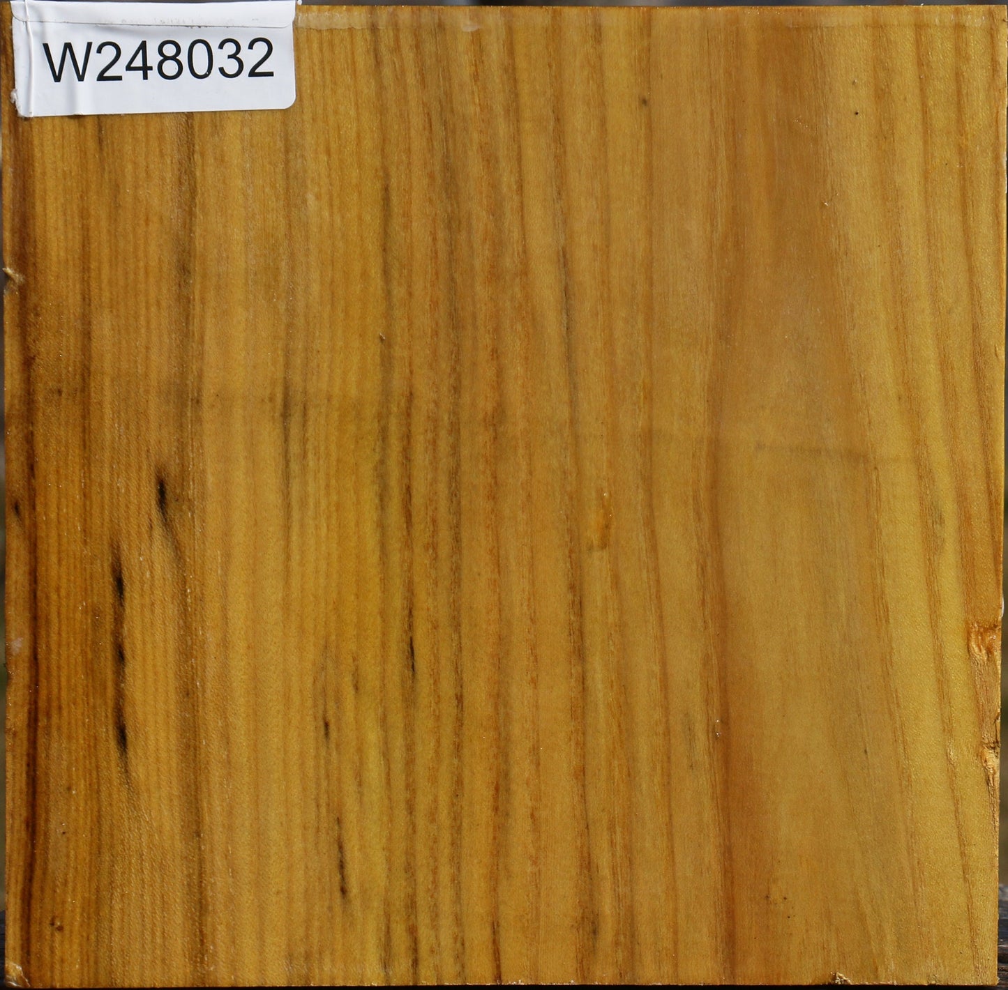 Mulberry Bowl Blank
