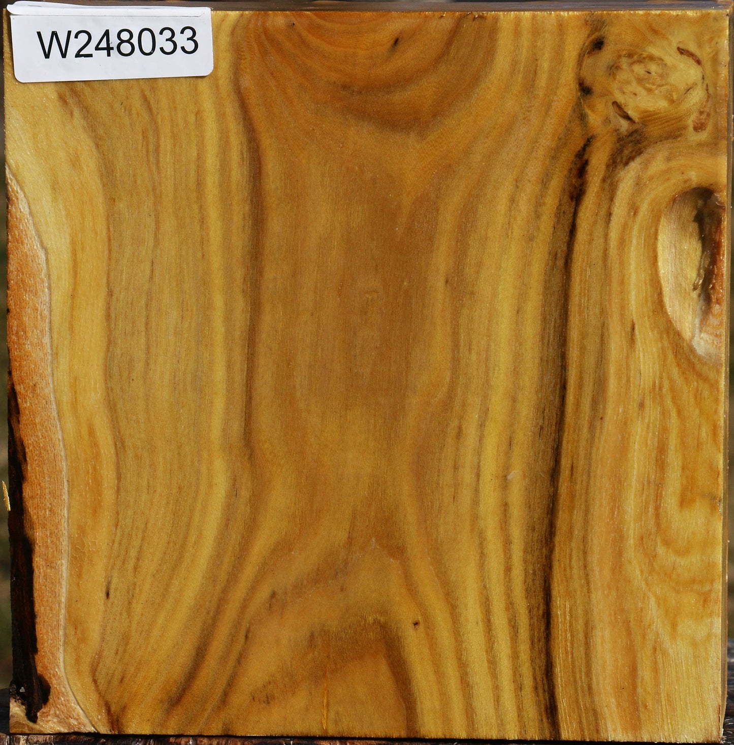 Mulberry Bowl Blank