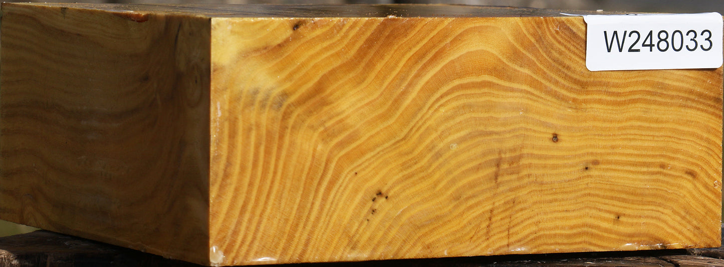 Mulberry Bowl Blank