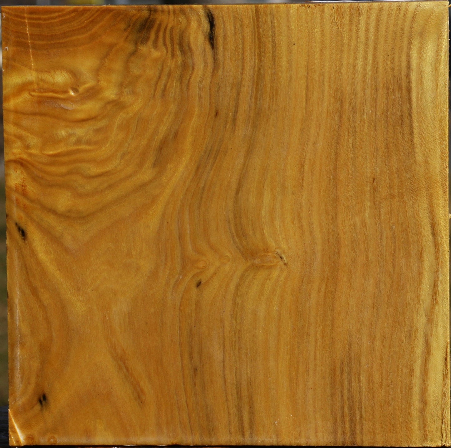 Mulberry Bowl Blank