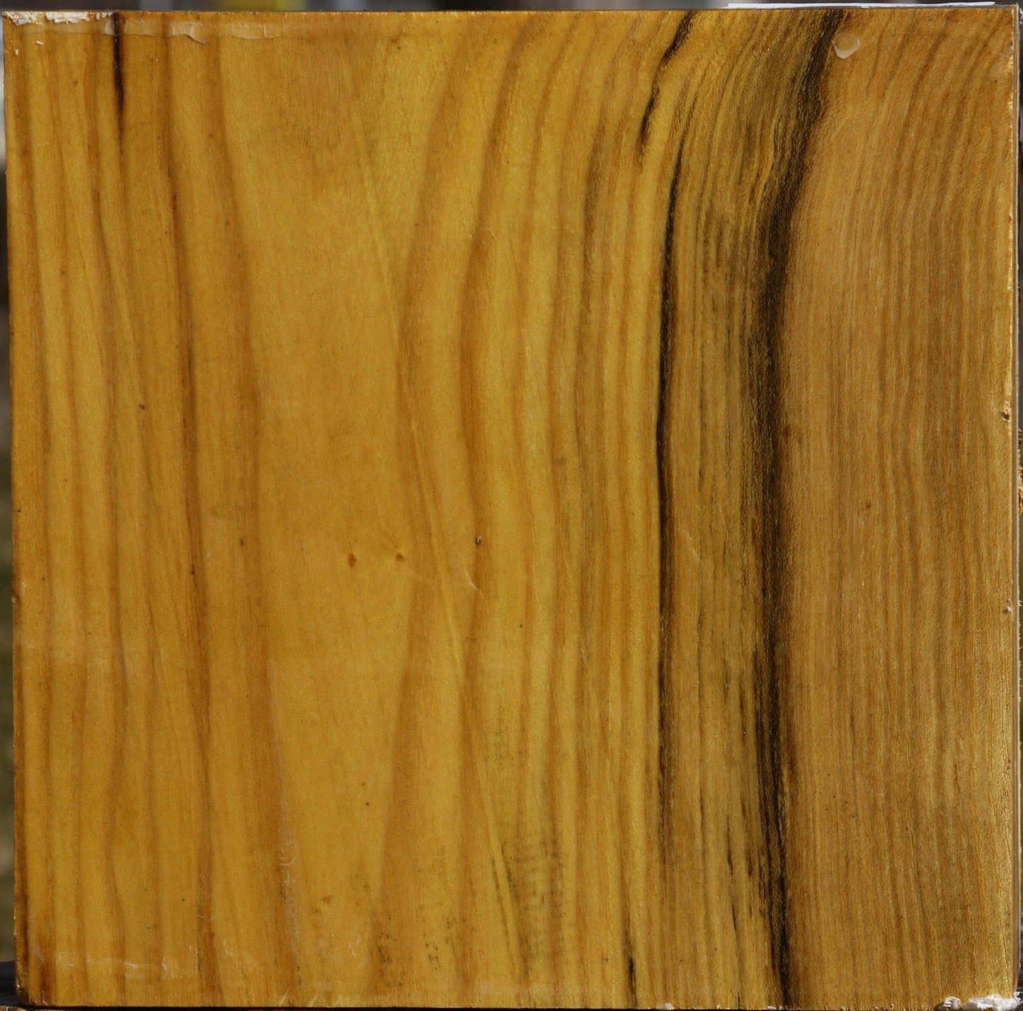 Mulberry Bowl Blank