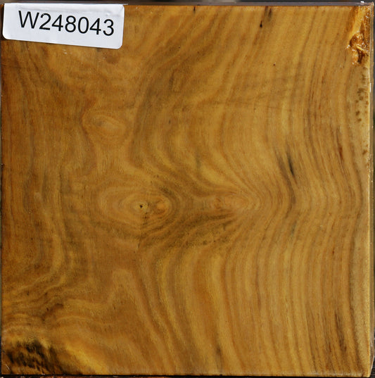 Mulberry Bowl Blank